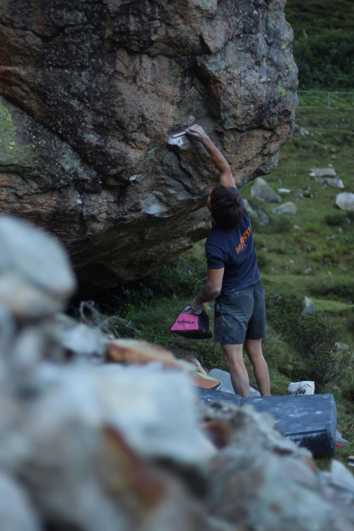 Kletterbürste Magic Wood – Bild 4